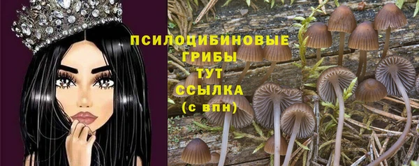 стафф Абинск
